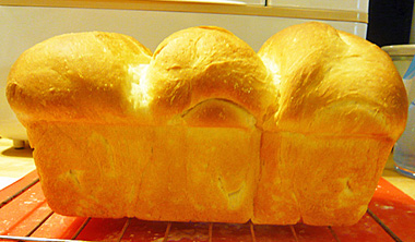特集2：美味しいパンを焼きた〜い！！