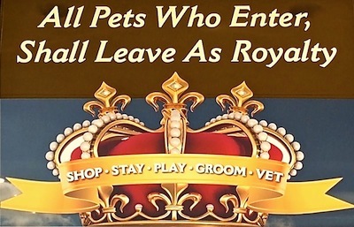 Royal Pets 10.jpg