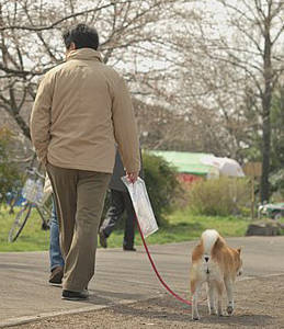犬のお散歩.jpg