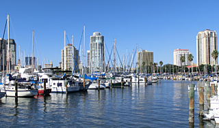 320px-Downtown_St._Petersburg_Florida_from_Marinaのコピー.png