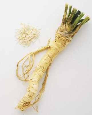 horseradish.jpeg