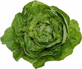 lettuce-escarole.jpg