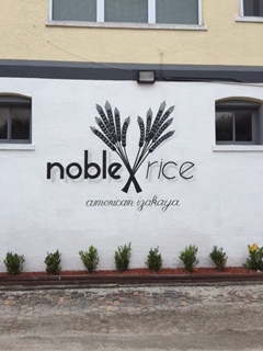 noble rice 1.jpg