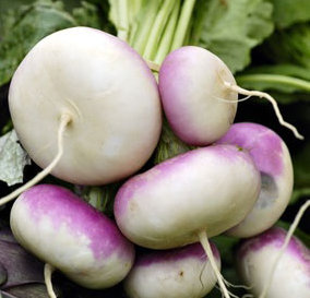 turnip.jpg