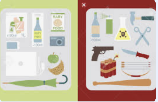 2026年1月 特集　機内に持込める物・持込めない物