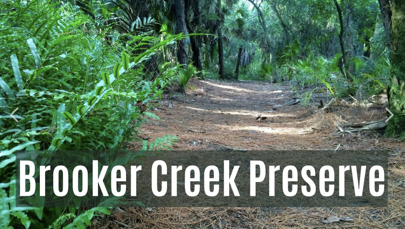 2026年1月 地元ニュース　ブルカー・クリーク保護区