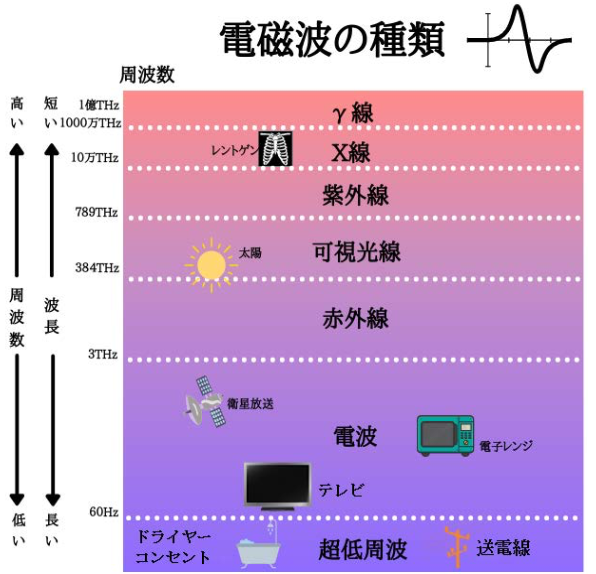 2026年3月号 特集　電磁波と健康被害の関係は？
